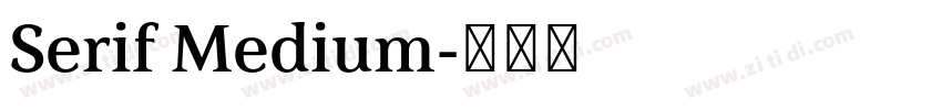 Serif Medium字体转换